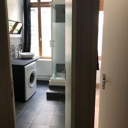 Appartement Et Son Jardin A Lille Fac De Droit Εξωτερικό φωτογραφία