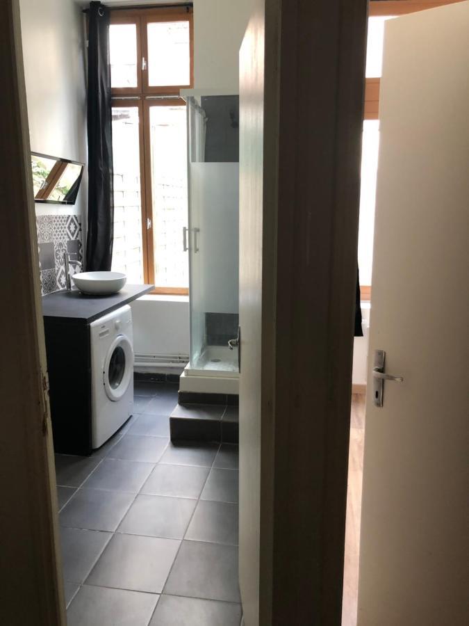 Appartement Et Son Jardin A Lille Fac De Droit Εξωτερικό φωτογραφία